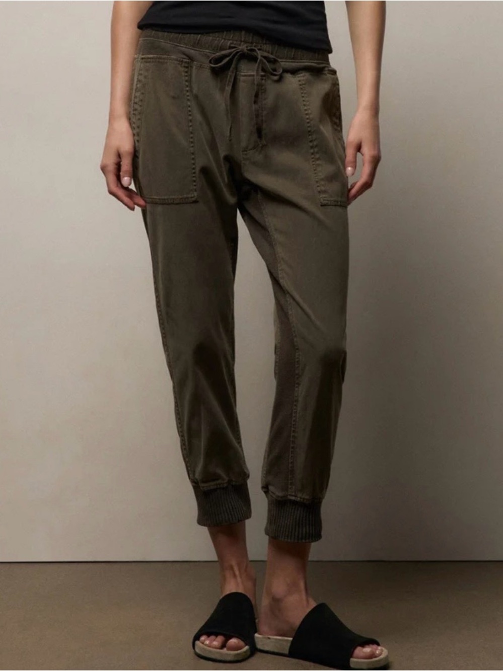 James Perse Mixed Media Pants in Army Green Pigment (olive green). Jogger Pants